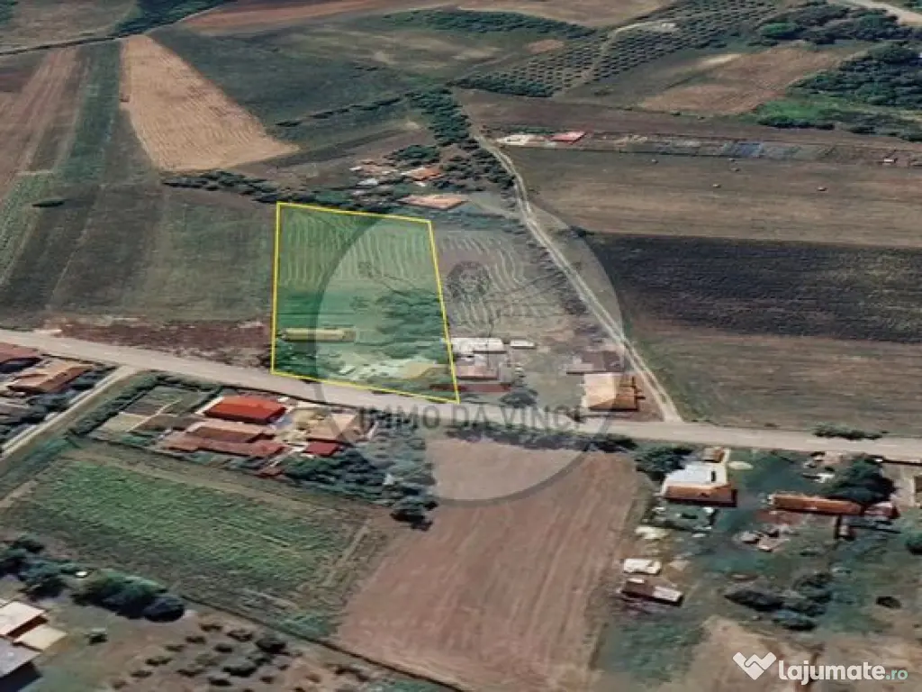 Casă tradițională cu teren generos de 3.529 mp – Bor... 