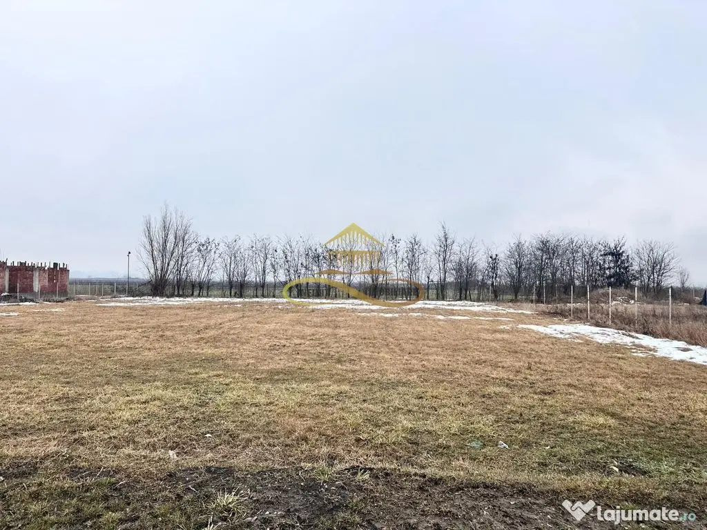 Teren de vanzare Siretu Saucesti Bacau 