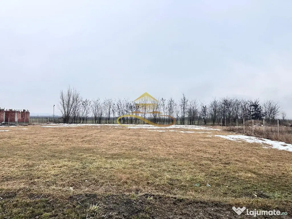 Teren de vanzare Siretu Saucesti Bacau 