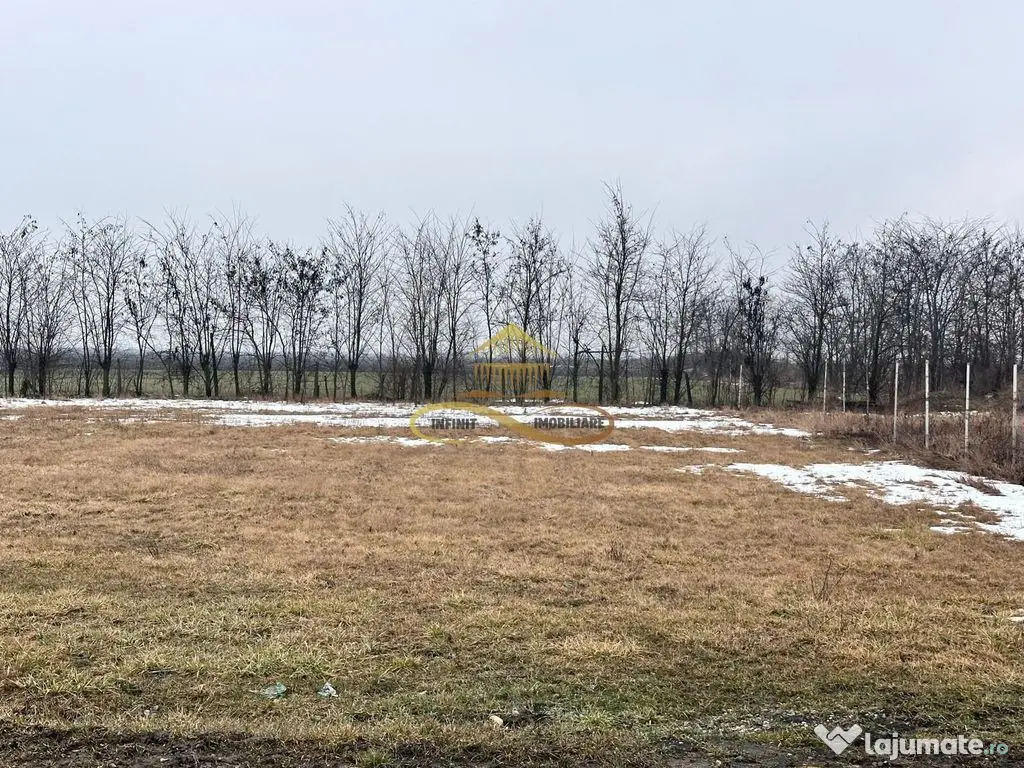 Teren de vanzare Siretu Saucesti Bacau 