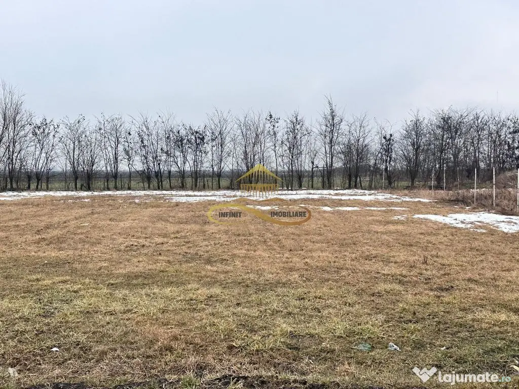 Teren de vanzare Siretu Saucesti Bacau 