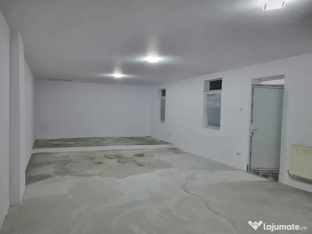 Spatiu comercial 100mp Bariera Valcii