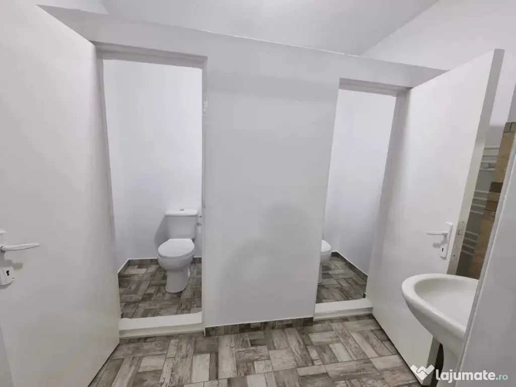 Spatiu comercial 100mp Bariera Valcii