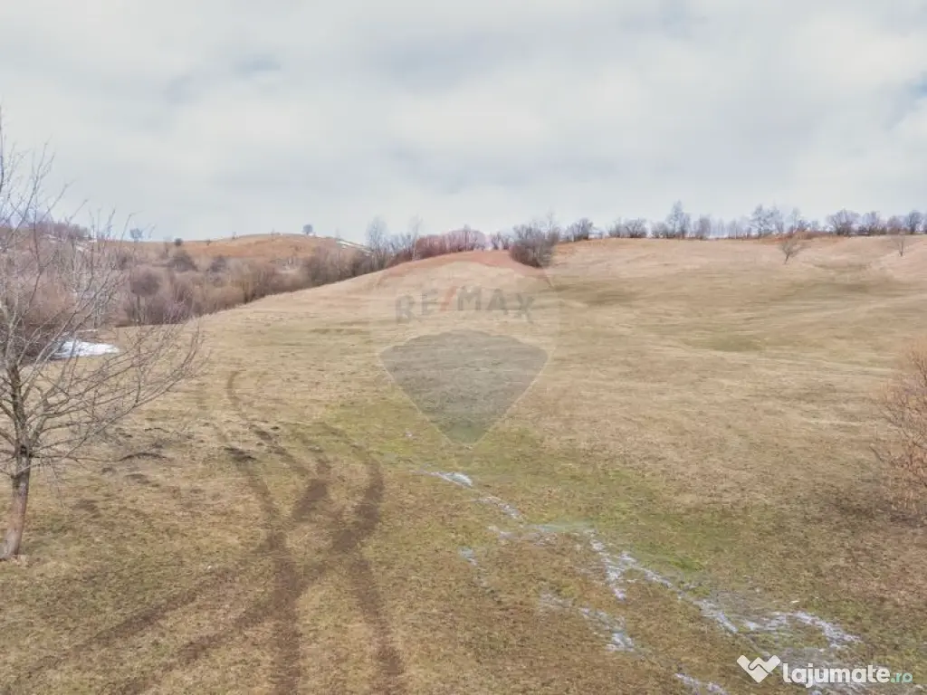 Teren Tohanul Nou 5602mp 