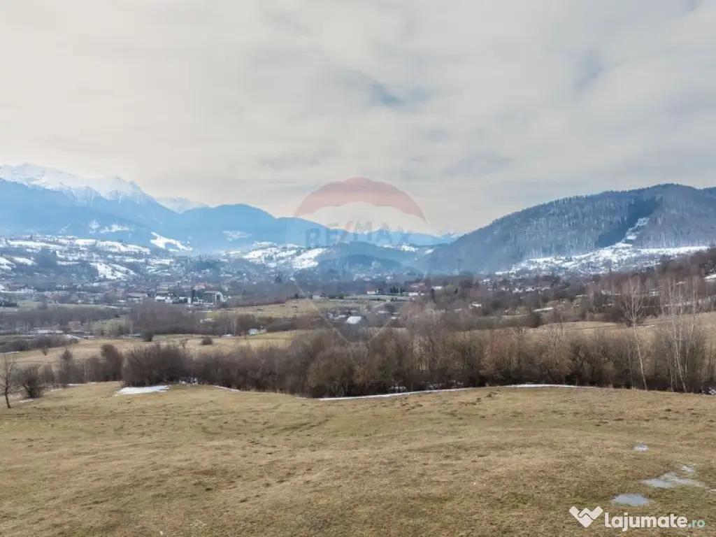 Teren Tohanul Nou 5602mp 