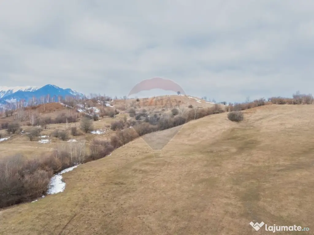 Teren Tohanul Nou 5602mp 