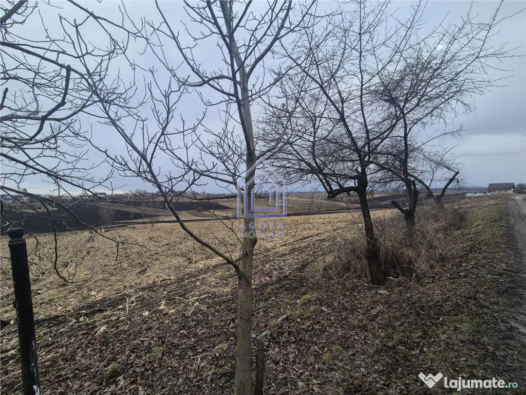 Teren Moara Nica - zona Scolii 