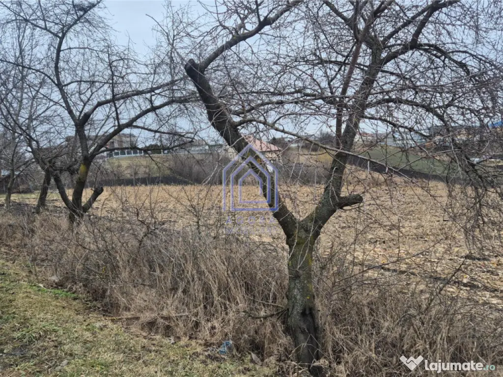 Teren Moara Nica - zona Scolii 