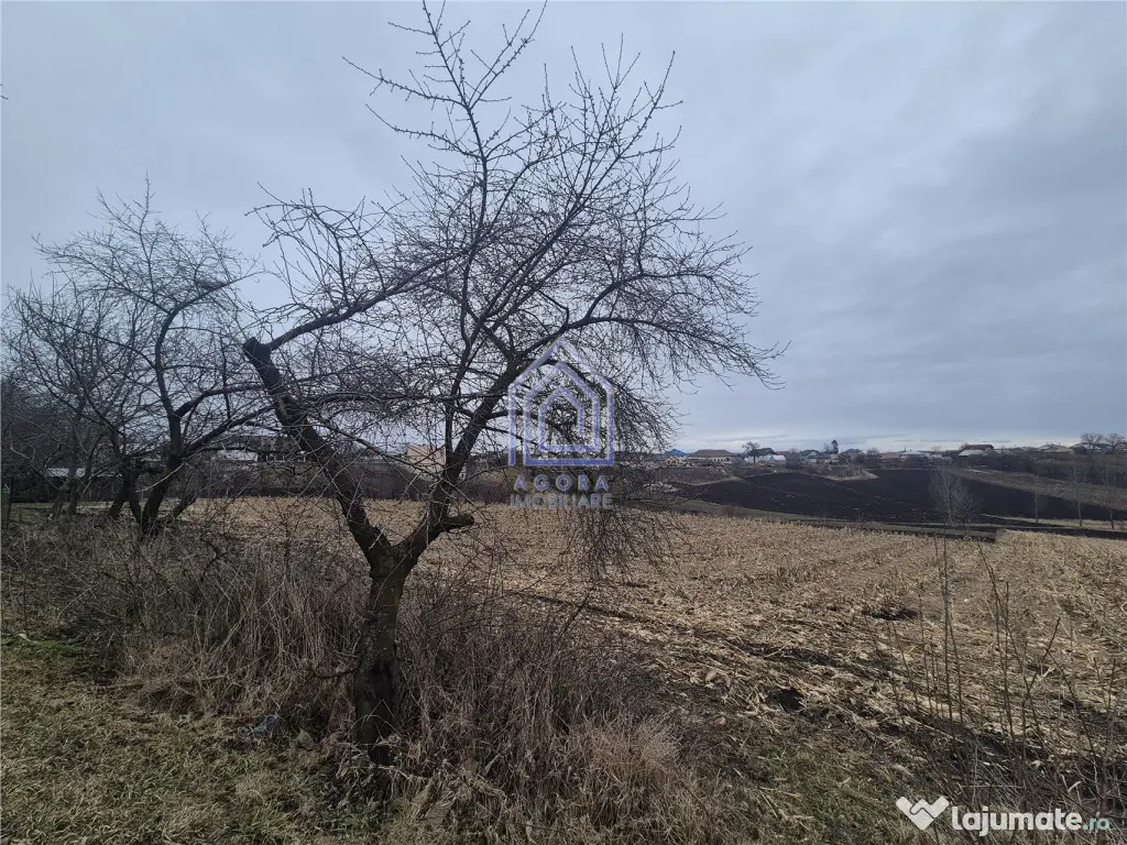 Teren Moara Nica - zona Scolii 