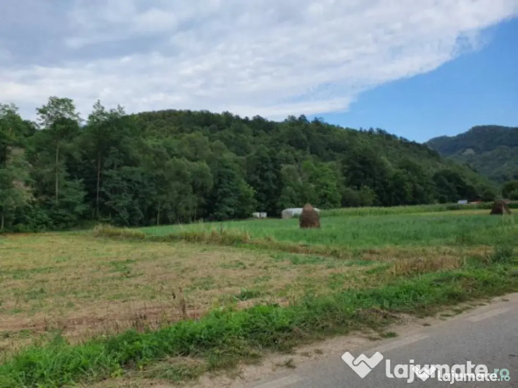 Doua terenuri extravilane 1440 mp si 1500 mp, com.BAITA jud.HUNEDOARA 