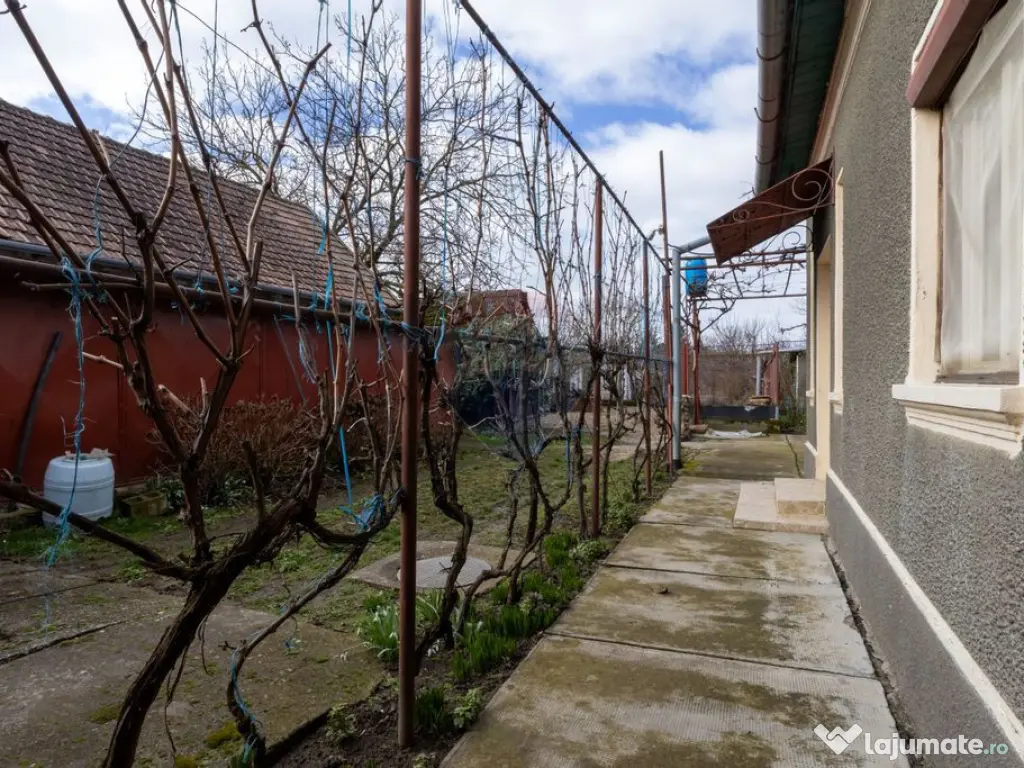 Casă solidă cu teren generos – zonă excelentă,Chiș...
