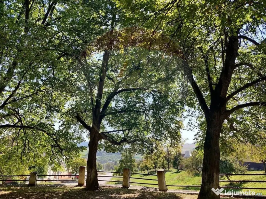 DE VANZARE Teren intr-un colț de Transilvanie autentică 