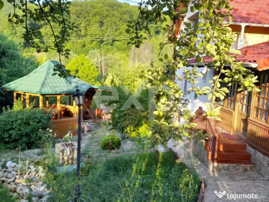 Casă la țară complet mobilată, 5.500 mp teren – Topli?