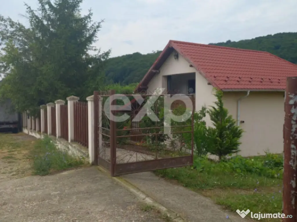 Casă la țară complet mobilată, 5.500 mp teren – Topli?