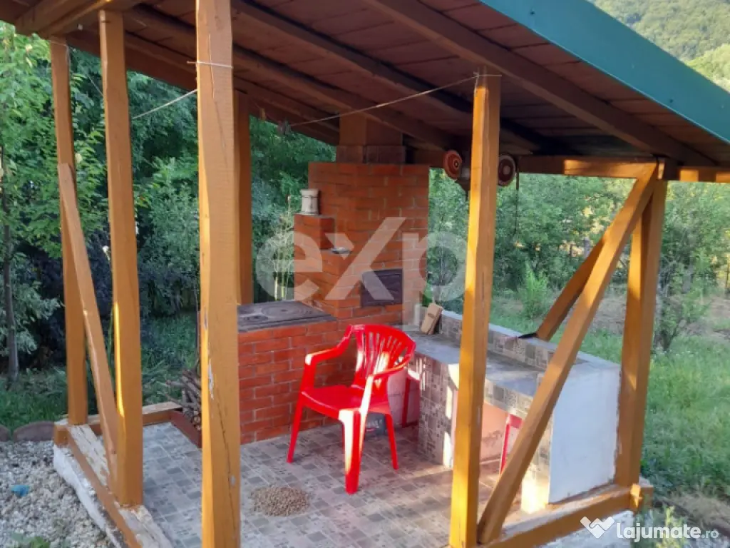 Casă la țară complet mobilată, 5.500 mp teren – Topli?