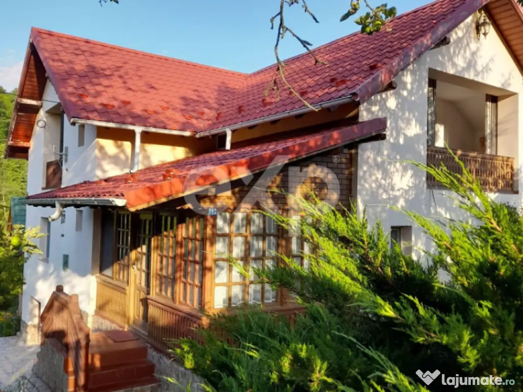 Casă la țară complet mobilată, 5.500 mp teren – Topli?