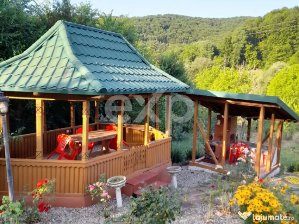 Casă la țară complet mobilată, 5.500 mp teren – Topli? 