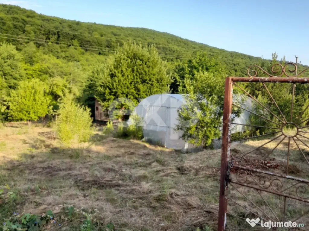 Casă la țară complet mobilată, 5.500 mp teren – Topli? 