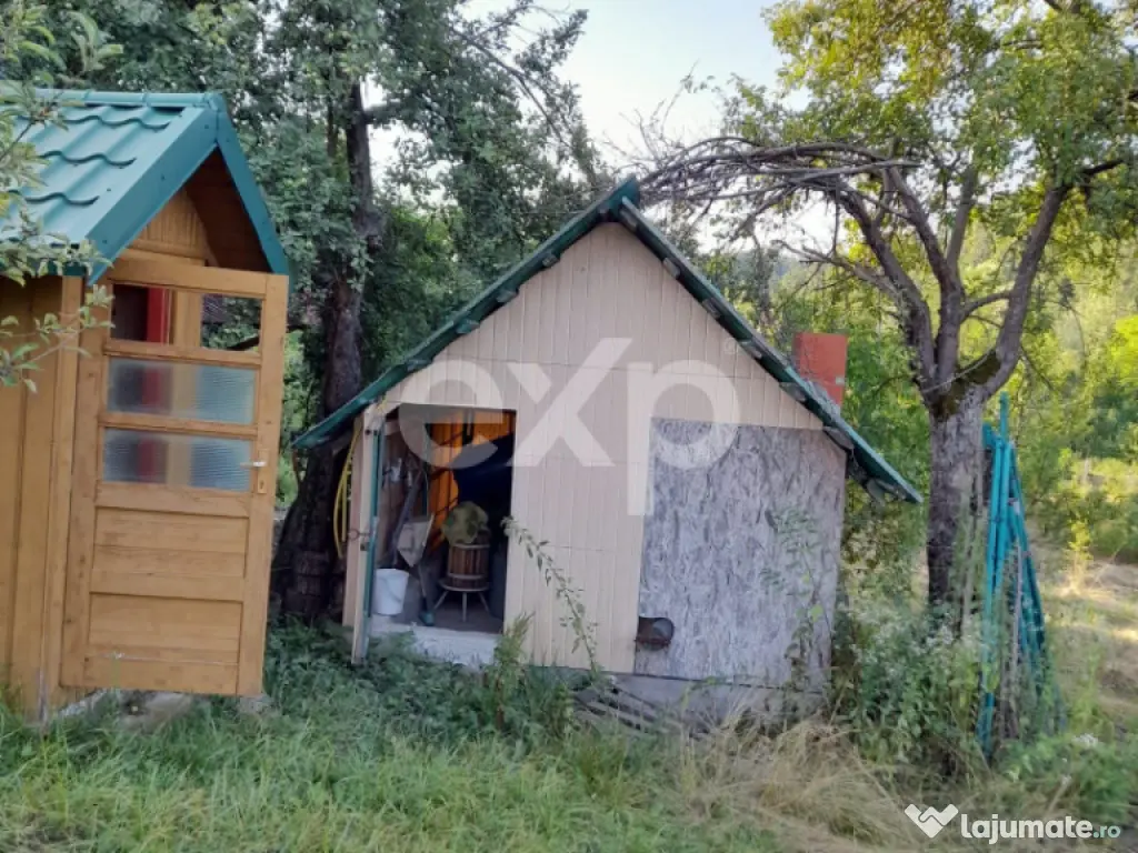 Casă la țară complet mobilată, 5.500 mp teren – Topli? 