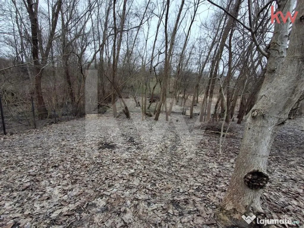 Casa Duplex Malu Mare cu teren generos 