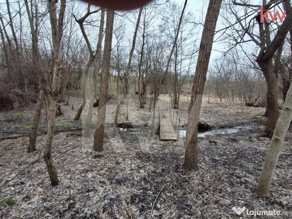 Casa Duplex Malu Mare cu teren generos 