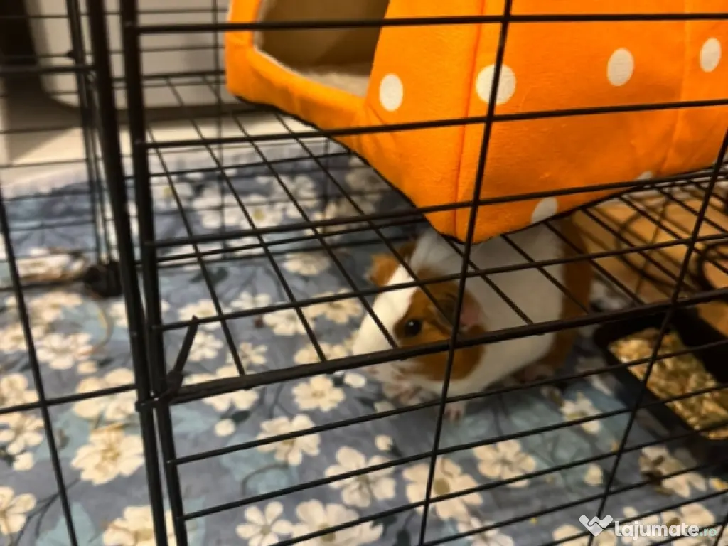 geantă piele bărbați VOI 