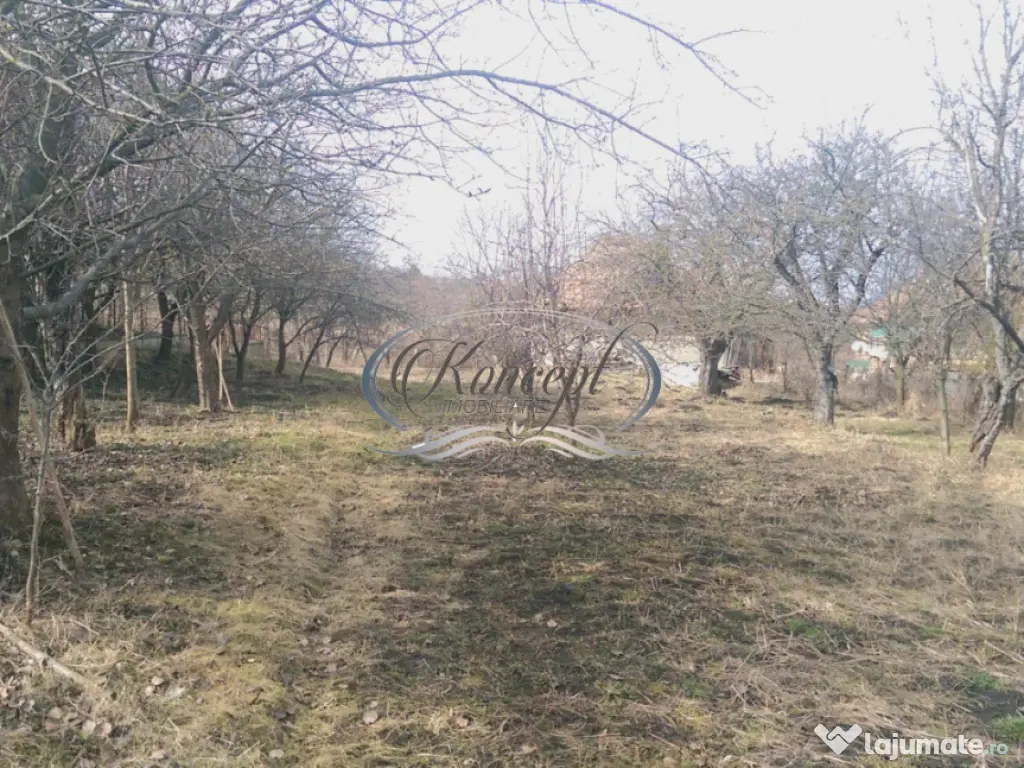 Teren pentru casa sau duplex in sat Gheorgheni 