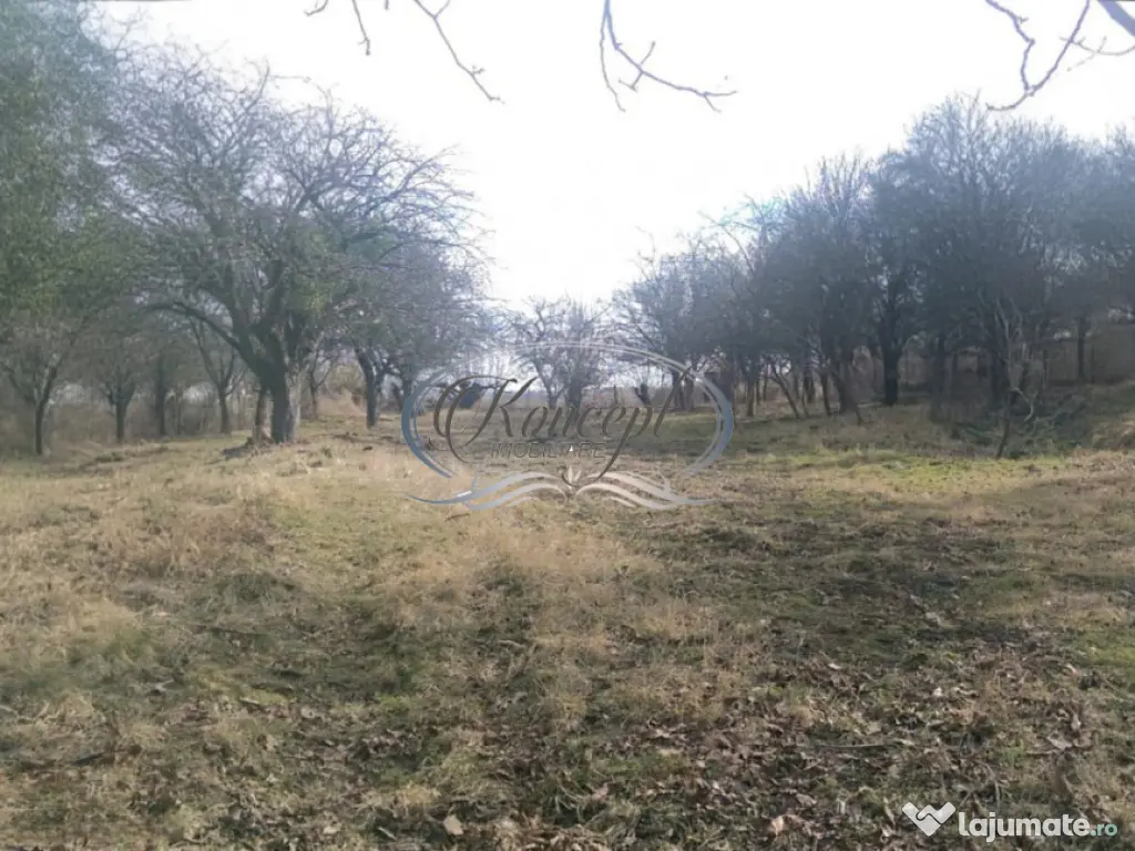 Teren pentru casa sau duplex in sat Gheorgheni 