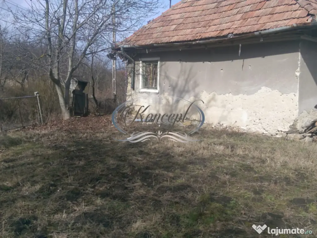 Teren pentru casa sau duplex in sat Gheorgheni 