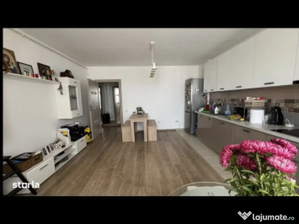 Dimitrie leonida drumul fermei studio 