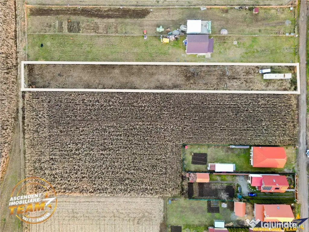 FILM! Teren mixt, 2.493 mp, Chilieni, judetul Covasna 