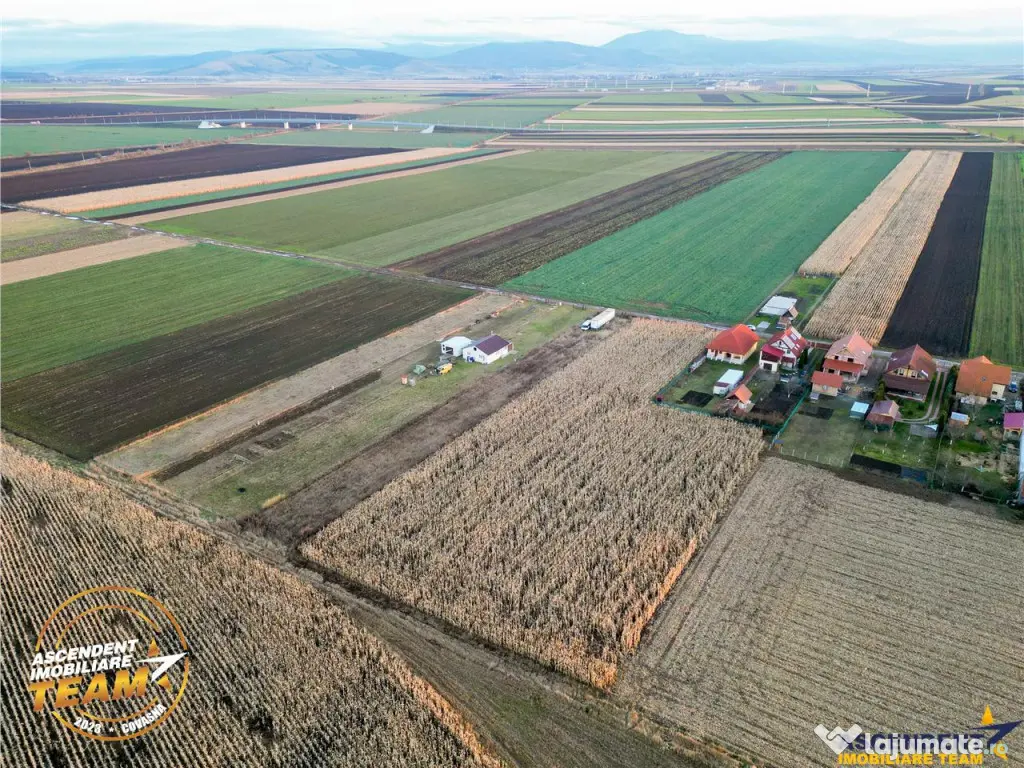 FILM! Teren mixt, 2.493 mp, Chilieni, judetul Covasna 