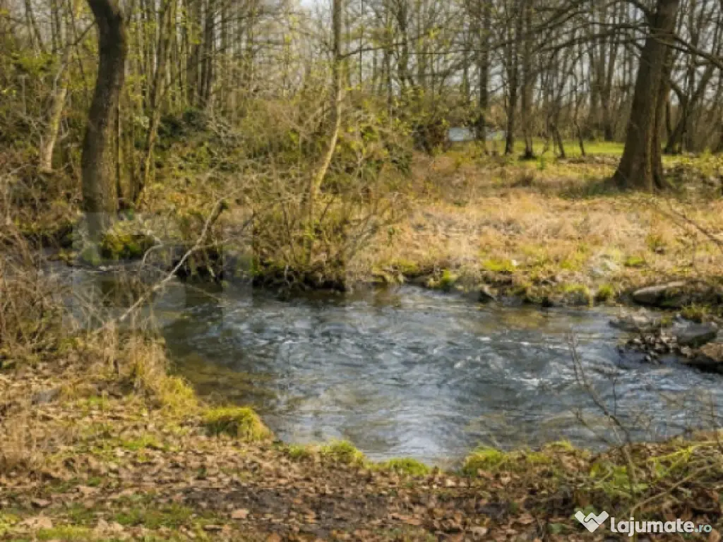 Teren 1907mp-Zona Arcani 