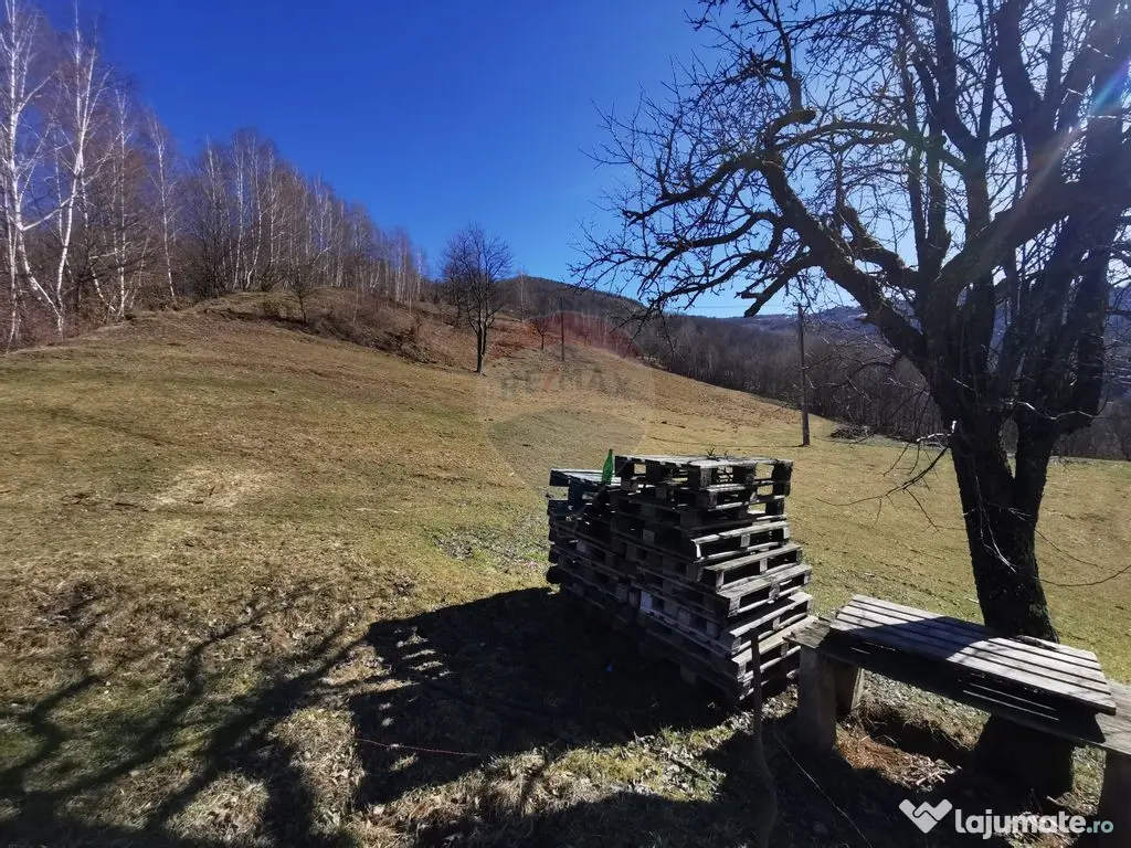 De vânzare teren intravilan 10,100 mp, cu anexă, Munteni 