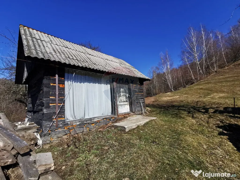 De vânzare teren intravilan 10,100 mp, cu anexă, Munteni 