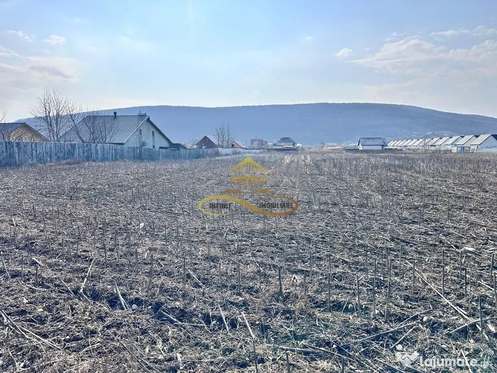 De vanzare teren intravilan Hemeius Bacau 