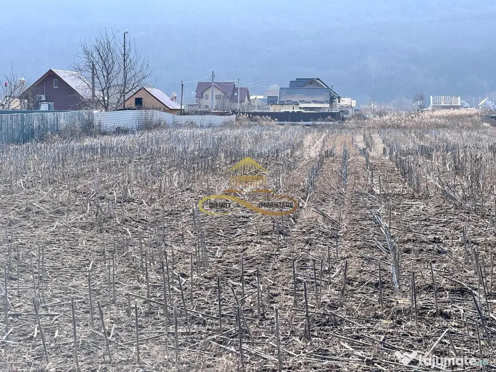 De vanzare teren intravilan Hemeius Bacau 
