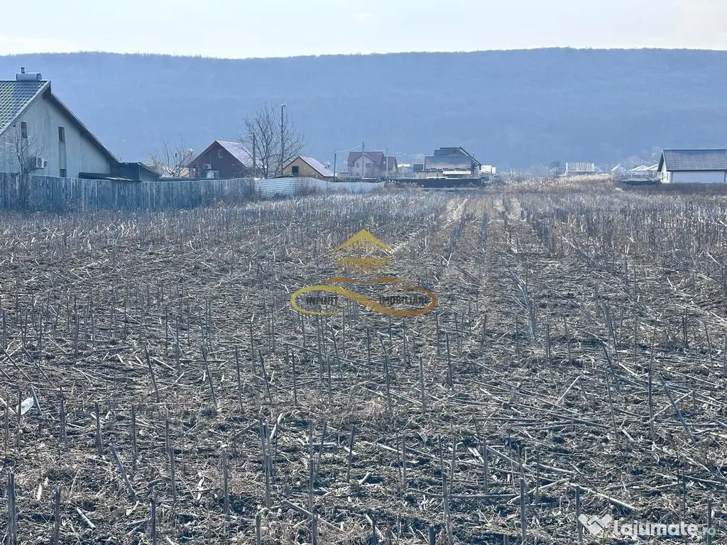 De vanzare teren intravilan Hemeius Bacau 