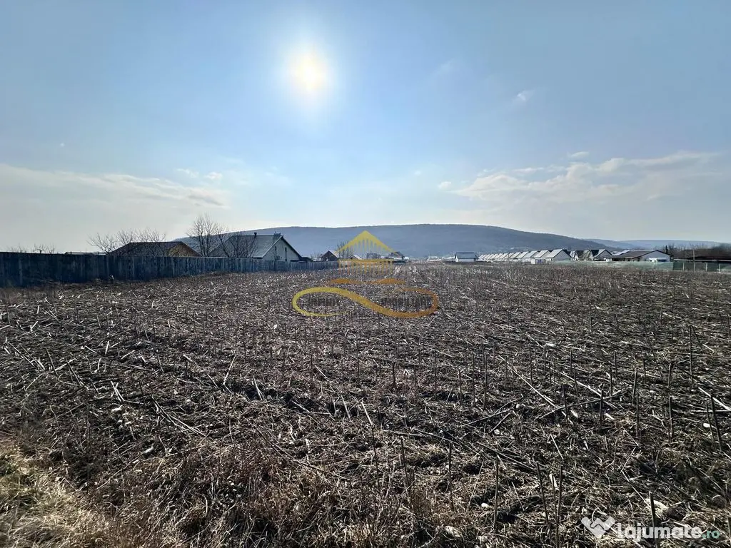 De vanzare teren intravilan Hemeius Bacau 