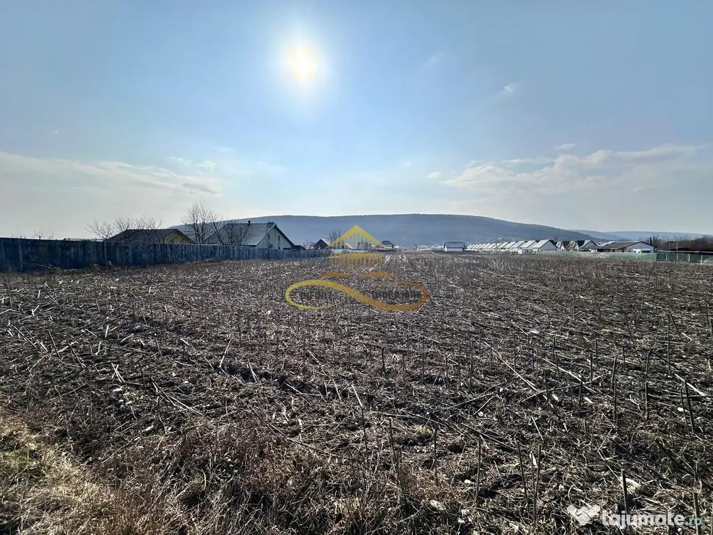 De vanzare teren intravilan Hemeius Bacau 