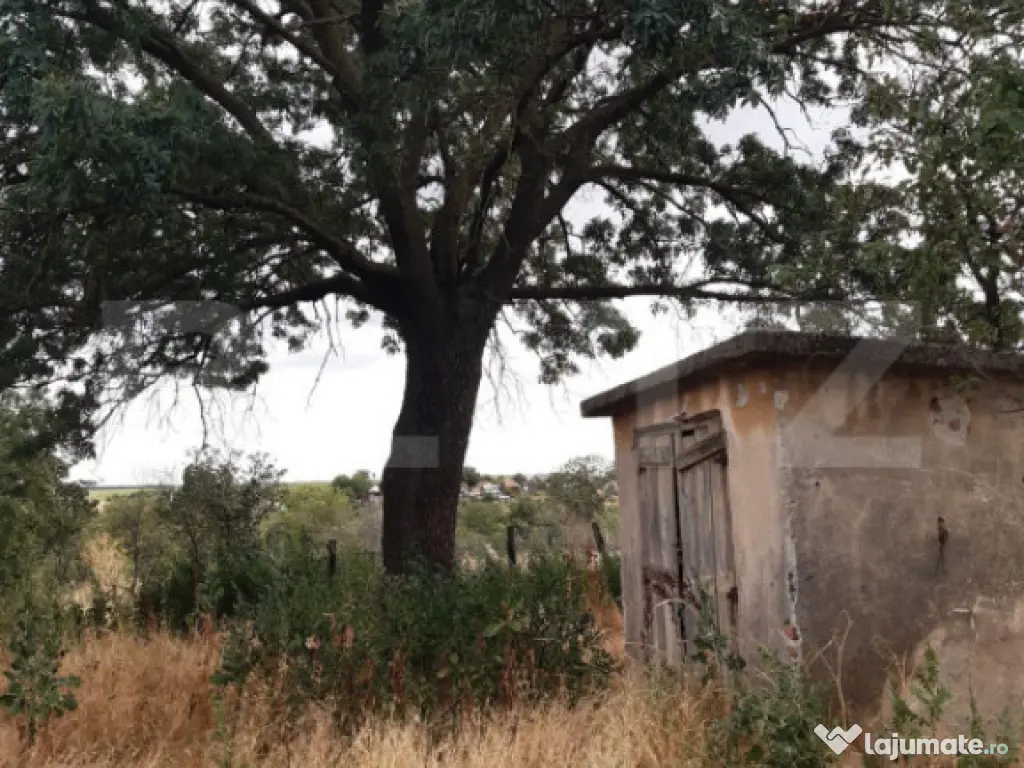 Casa P+1 renovabila, 1008 mp de teren, Sarbatoarea