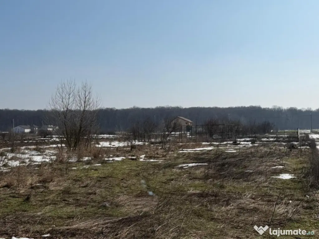 Domnești, teren langa pădure, 420mp, utilități, deschid