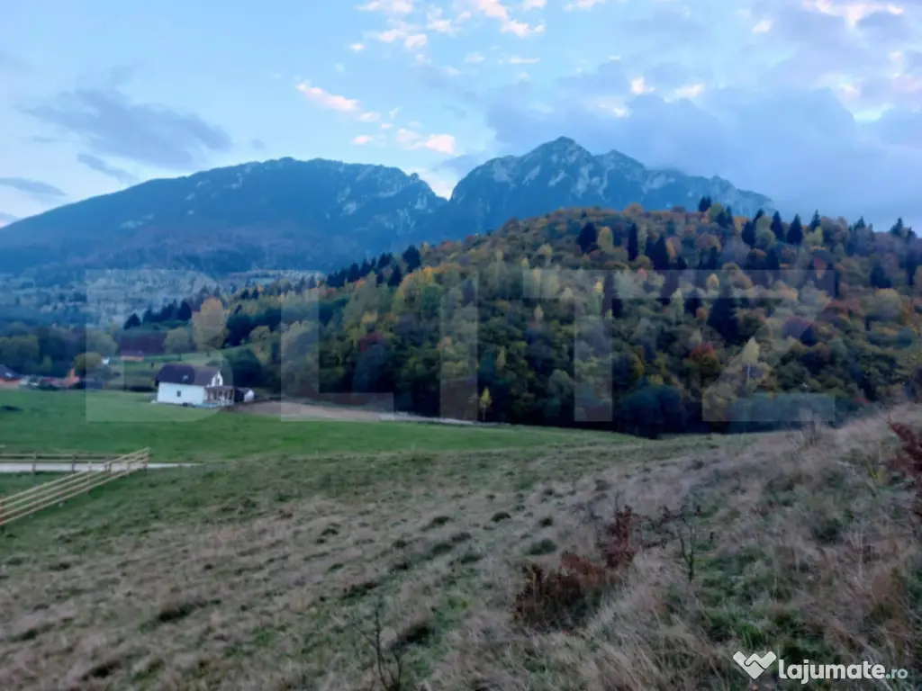 Teren zona Plaiu Foii 