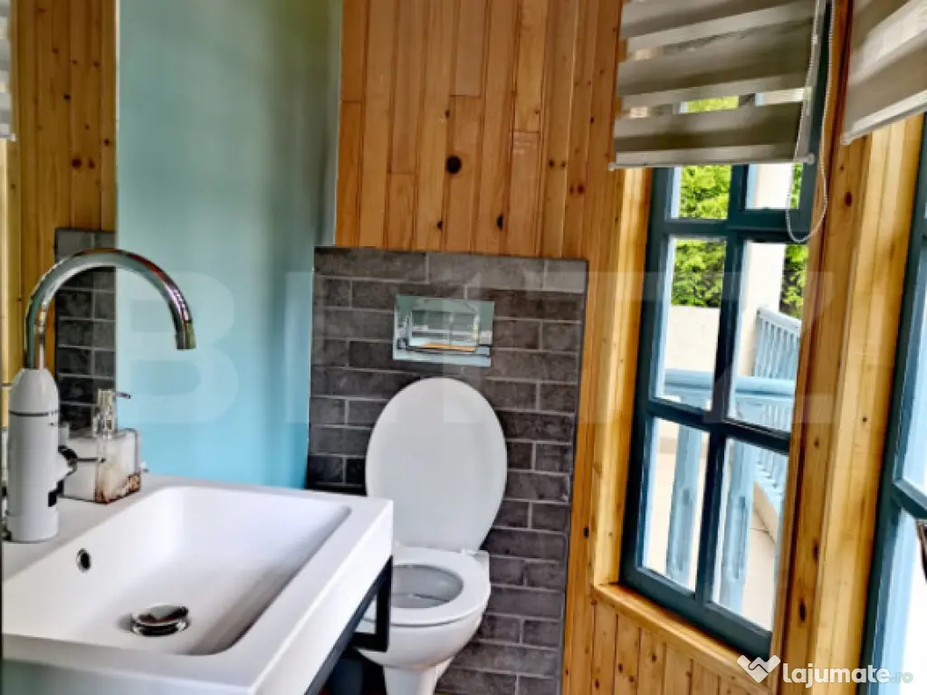 Investiție rară la Colibița – 3 cabane aproape de lac, 