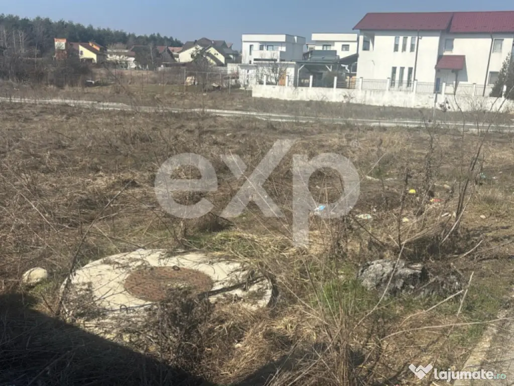 Teren cu autorizatie case in Trivale - Tancodrom 