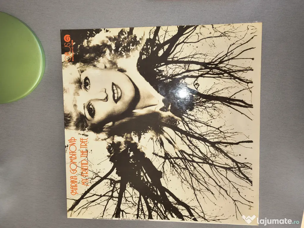 Vand discuri vinil LP 