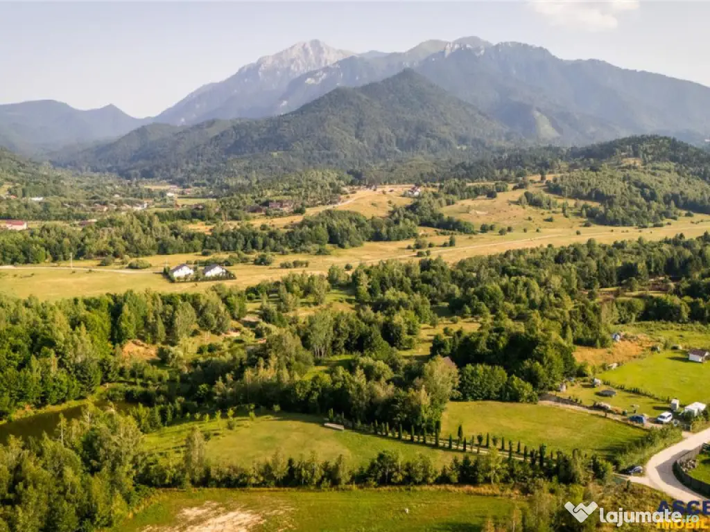 FILM! Oaza paradisiaca cu lac, vedere catre Bucegi, Glajerie 