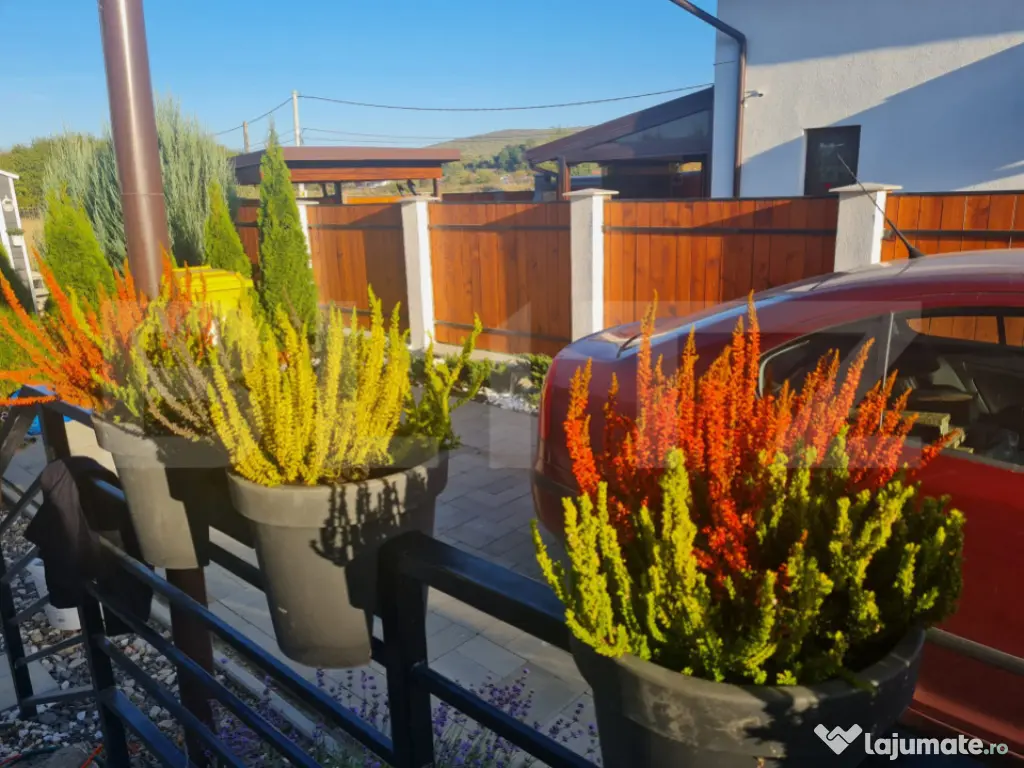 Casa cocheta tip duplex de vanzare in zona spitalului oncolo 