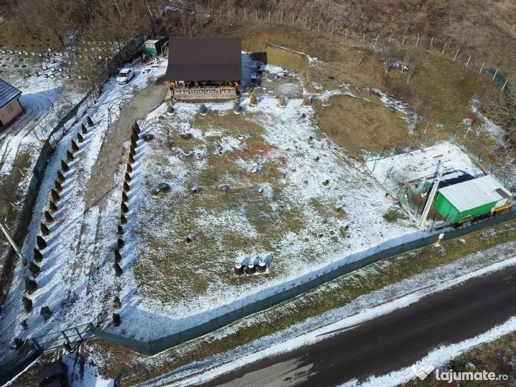 Casă / Vilă Coțofănești Bacău 