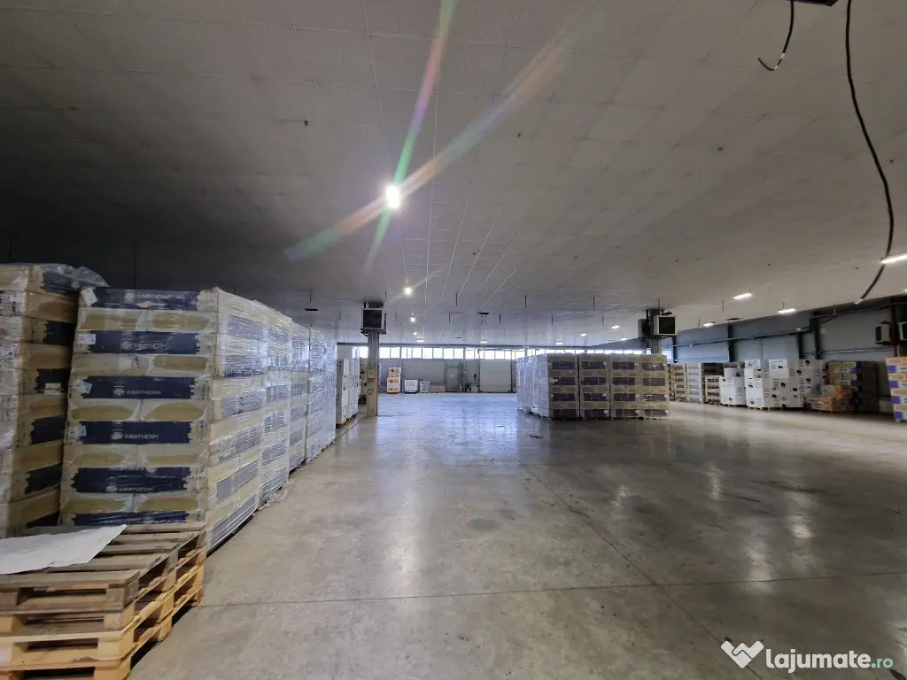 Hala industriala 1400 mp,spatiu depozitare logistica birouri Lugojului 